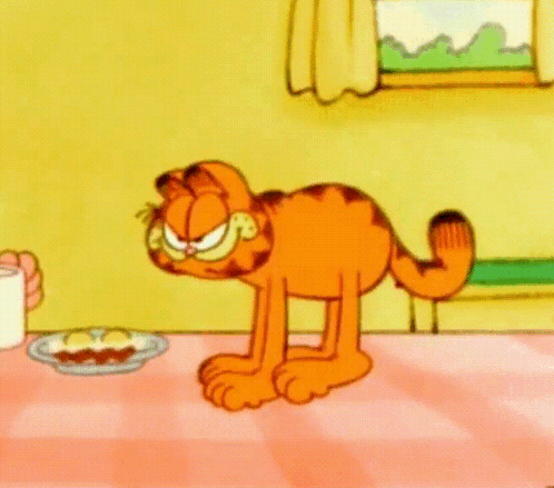 A Cartoon Of Garfield Standing On His Hind Legs GIF