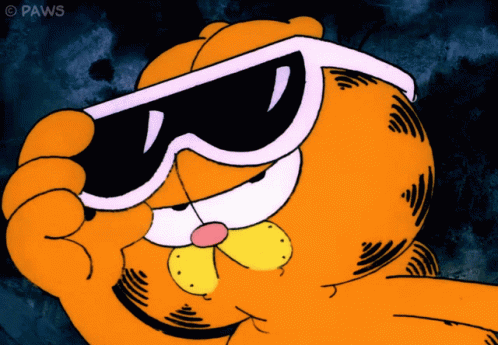 A Cartoon Of Garfield Wearing Sunglasses With The Watermark Paws GIF