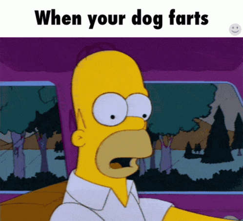 A Cartoon Of Homer Simpson Driving A Car With The Words When Your Dog Farts Above Him GIF