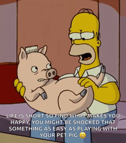 A Cartoon Of Homer Simpson Holding A Pig With A Caption That Says Life Is Short So Find What Makes You Happy GIF