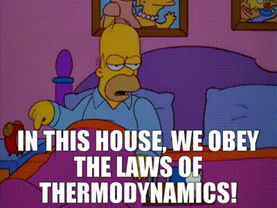 A Cartoon Of Homer Simpson Laying On A Bed With The Words In This House We Obey The Laws Of Thermodynamics GIF