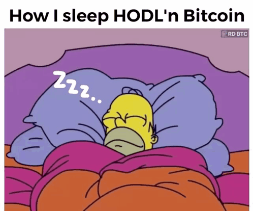 A Cartoon Of Homer Simpson Sleeping With The Words " How I Sleep Hodl 'N Bitcoin " Above Him GIF