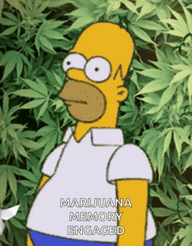 A Cartoon Of Homer Simpson Standing In Front Of Marijuana Leaves GIF
