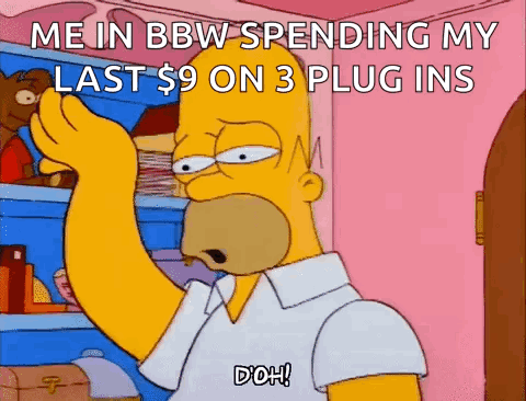 A Cartoon Of Homer Simpson With The Words Me In Bbw Spending My Last $ 9 On 3 Plug Ins GIF