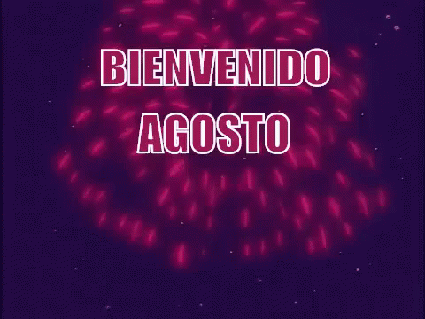 A Cartoon Of Lisa Simpson Watching Fireworks With The Words Bienvenido Agosto GIF