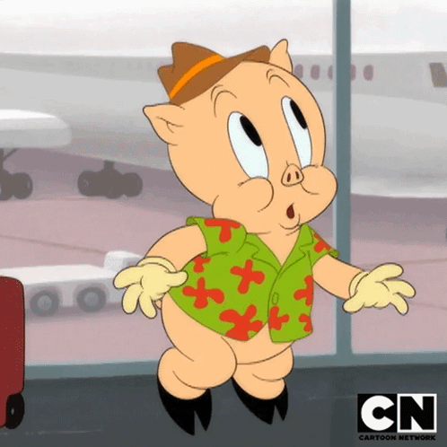 A Cartoon Of Porky Pig From Cn Cartoon Network GIF