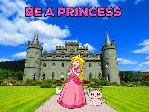 A Cartoon Of Princess Peach And A Cat In Front Of A Castle GIF