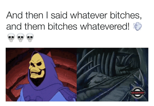 A Cartoon Of Skeletor With The Words And Then I Said Whatever Bitches And Them Bitches Whatevered Below Him GIF