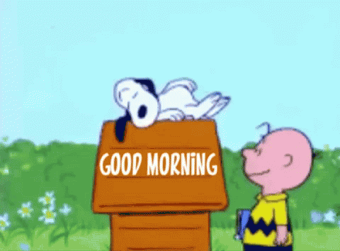 A Cartoon Of Snoopy And Charlie Brown Standing Next To A Box That Says Good Morning GIF