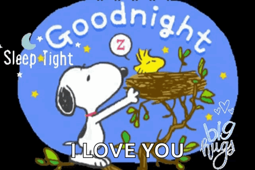 A Cartoon Of Snoopy And Woodstock Saying Goodnight Sleep Tight And I Love You GIF