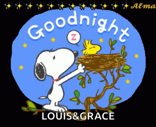 A Cartoon Of Snoopy And Woodstock Says Goodnight Louis & Grace GIF
