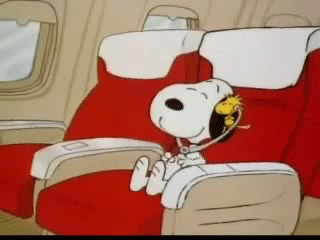 A Cartoon Of Snoopy And Woodstock Sitting In Red Chairs On An Airplane GIF