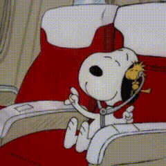 A Cartoon Of Snoopy And Woodstock Sitting On An Airplane Seat . GIF