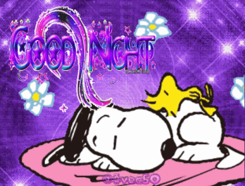 A Cartoon Of Snoopy And Woodstock Sleeping With The Words Good Night GIF