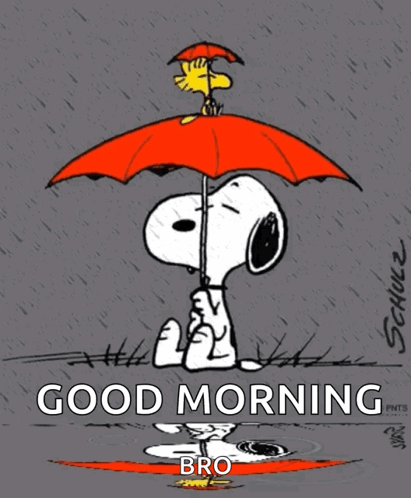 A Cartoon Of Snoopy And Woodstock Under An Umbrella With The Words Good Morning Bro Below Them GIF