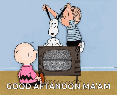 A Cartoon Of Snoopy Charlie Brown And Linus Looking At A Tv With The Words Good Aftanoon Ma Am Below Them GIF