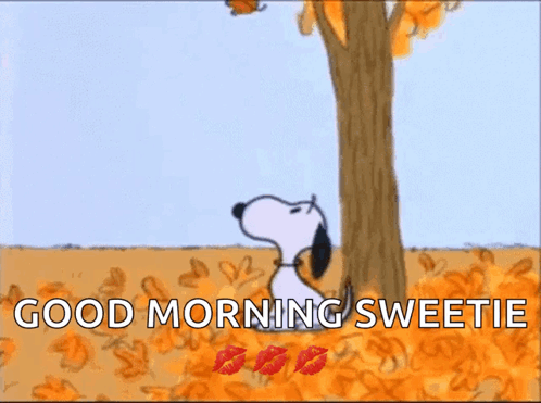 A Cartoon Of Snoopy Kissing A Butterfly With The Words Good Morning Sweetie GIF