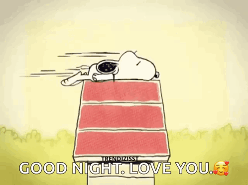 A Cartoon Of Snoopy Laying On A Bed With The Words " Good Night Love You " Below Him GIF
