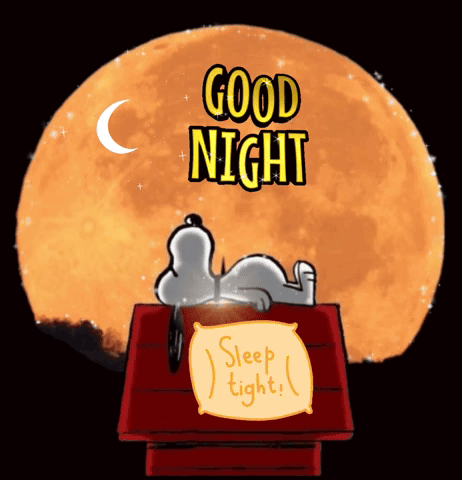 A Cartoon Of Snoopy Laying On A Doghouse With The Words Good Night Sleep Tight GIF