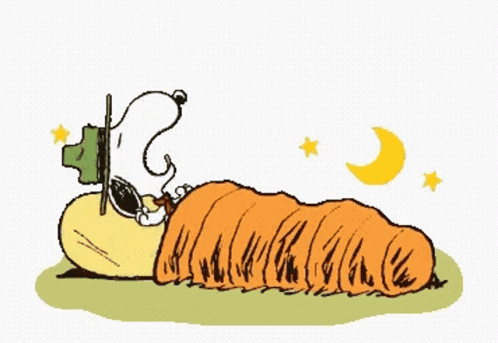 A Cartoon Of Snoopy Sleeping In A Sleeping Bag With The Words Good Night Written Above Him GIF