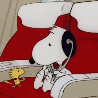 A Cartoon Of Snoopy Talking On A Phone With Woodstock GIF