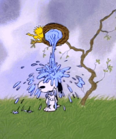 A Cartoon Of Snoopy With Water Pouring Out Of A Bird Nest GIF