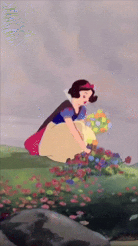 A Cartoon Of Snow White Picking Flowers From A Field GIF