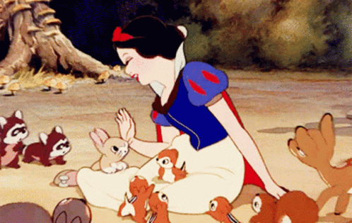 A Cartoon Of Snow White Sitting On The Ground With Squirrels GIF