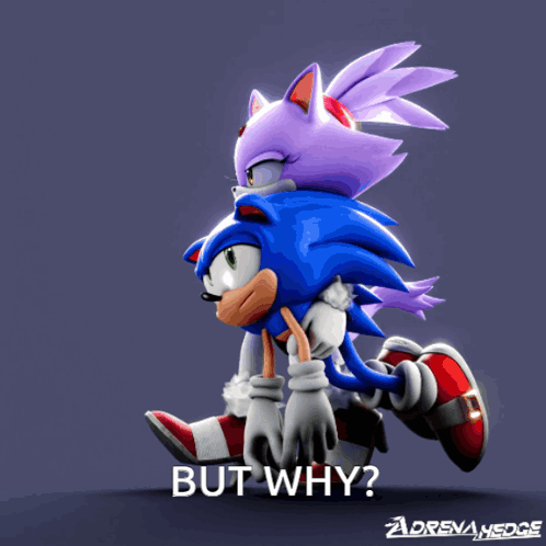 A Cartoon Of Sonic The Hedgehog And Blaze The Cat With The Words But Why Below Them GIF