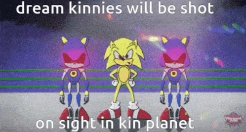 A Cartoon Of Sonic The Hedgehog And Metal Sonic With The Caption Dream Kinnies Will Be Shot On Sight In Kin Planet GIF