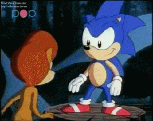Sonic The Hedgehog And Sally The Lion Cartoon GIF