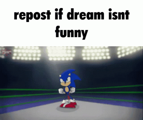 A Cartoon Of Sonic The Hedgehog In A Boxing Ring With The Words Repost If Dream Isnt Funny GIF