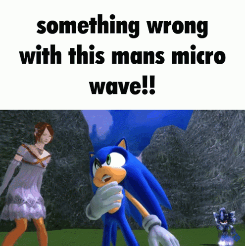 A Cartoon Of Sonic The Hedgehog With The Caption Something Wrong With This Mans Micro Wave GIF