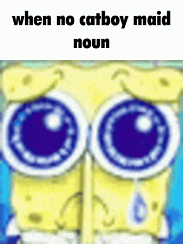 A Cartoon Of Spongebob Crying With The Words When No Catboy Maid Noun GIF