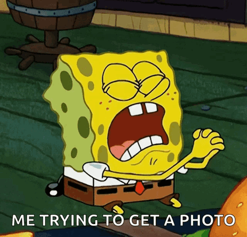 A Cartoon Of Spongebob Saying He Is Trying To Get A Picture GIF