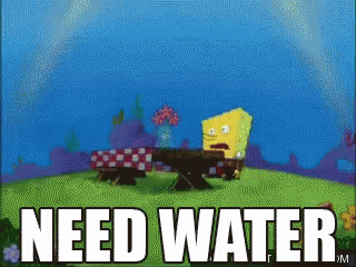 A Cartoon Of Spongebob Sitting At A Picnic Table Says Need Water GIF