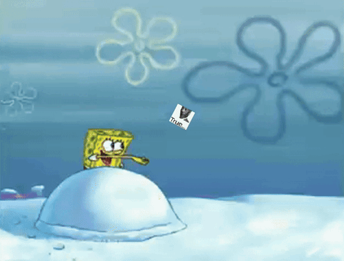 A Cartoon Of Spongebob Standing On Top Of A Snowball With A Picture Of A Cat That Says True On It GIF
