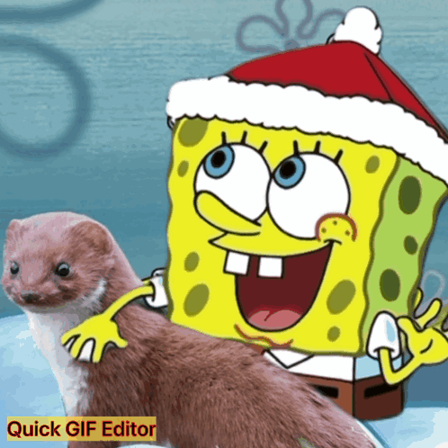 A Cartoon Of Spongebob Wearing A Santa Hat Next To A Ferret GIF