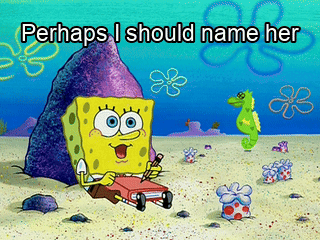 A Cartoon Of Spongebob With The Words Perhaps I Should Name Her On The Bottom GIF