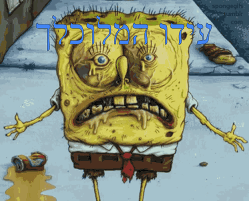 A Cartoon Of Spongebob With The Words Spongegifs Tumblr.com Written Above Him GIF