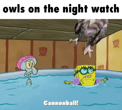 A Cartoon Of Squidward And Spongebob Swimming In A Pool With The Caption Owls On The Night Watch Cannonball GIF