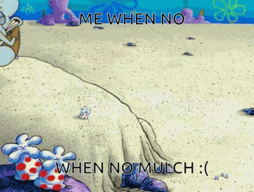 A Cartoon Of Squidward From Spongebob Squarepants Says " Me When No When No Mulch :) " GIF