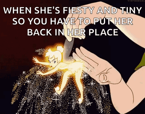 A Cartoon Of Tinkerbell With The Caption When She 'S Fiesty And Tiny GIF