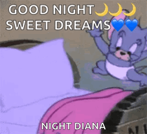 A Cartoon Of Tom And Jerry Saying Good Night Sweet Dreams And Night Diana GIF