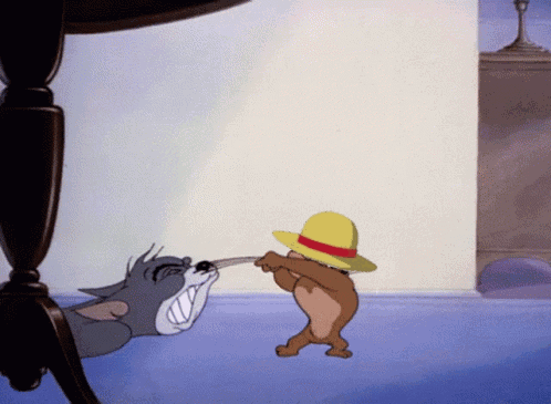 A Cartoon Of Tom And Jerry With A Hat On GIF