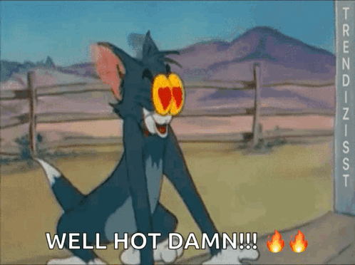 A Cartoon Of Tom And Jerry With The Words Well Hot Damn GIF
