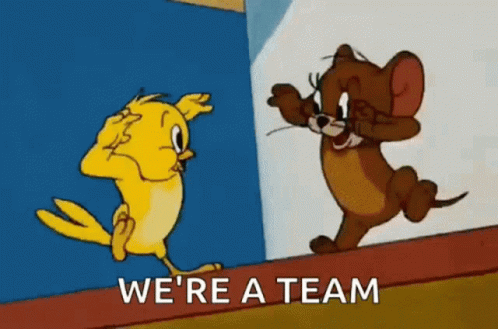 A Cartoon Of Tweety And Jerry Saying They Are A Team . GIF