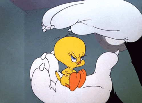 A Cartoon Of Tweety Being Held By A Large Hand GIF