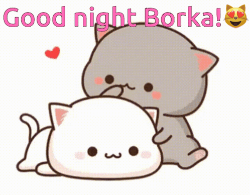 A Cartoon Of Two Cats Hugging Each Other With The Words Good Night Borka GIF
