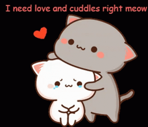 A Cartoon Of Two Cats Hugging Each Other With The Words I Need Love And Cuddles Right Meow Below Them GIF